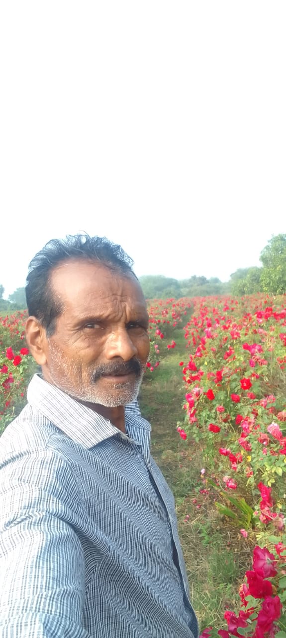 ROSE FARMER OMKAR FERTILIZER